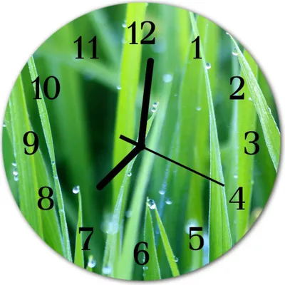 Produktbild von Glasuhr Wanduhr Küchenuhr Echt-Glas 30fi cm Gras Tau grün