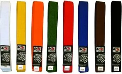 Produktbild von Sport 2000 Judo- und Karategürtel schwarz schwarz 280