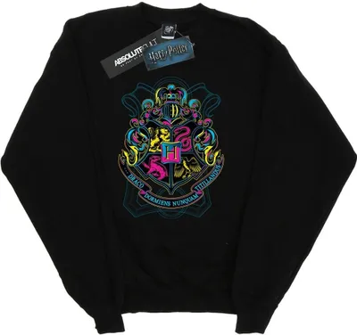 Produktbild von Harry Potter - "Hogwarts" Sweatshirt für Herren BI27784 (L) (Schwarz)