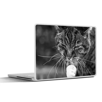 Produktbild von MuchoWow® Laptop Aufkleber Sticker Cover Katze wäscht sich selbst 40x30 cm - Laptop Dekoration - Selbstklebend