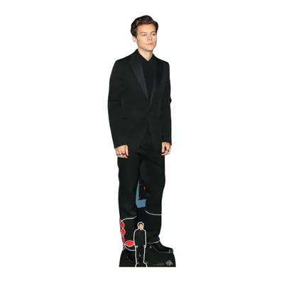 Obrázek produktu pro Harry Styles – černý oblek – hvězda VIP – kartonová figurína – 50 x 183 cm