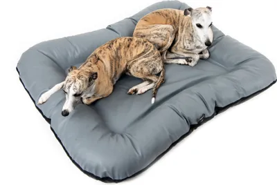 Produktbild von 4L Textil ELLA Hundebett Leder Optik Hundekissen Kunstleder grau Hundematte Kunstleder Hundebett grosse Hunde Kunstleder Liegekissen 130x110 cm