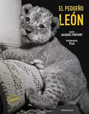 Produktbild von Der kleine Löwe