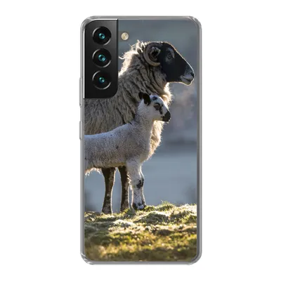 Produktbild von MuchoWow® Handyhülle Schutzhülle Hülle für Samsung Galaxy S22 Schaf - Lamm - Sonne Silikon Softcase Handy Hülle - Mobiltelefonhülle