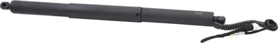 Produktbild von DIEDERICHS 9100529 Gasfeder Heckklappendämpfer für BMW X5 (F15, F85)