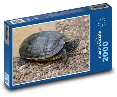 Obrázek produktu pro martinpuzzle - Puzzle 2000 - Plaz - želva