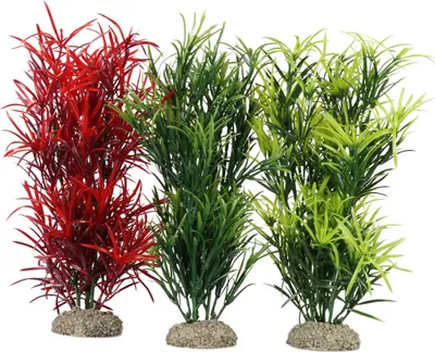Produktbild von Aqua Della Aquariumpflanze Grundnessel