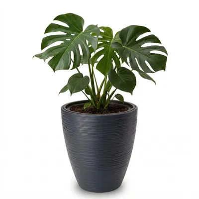 Produktbild von Großer Outdoor Blumentopf CALMO schwarz in 39 x 42 cm