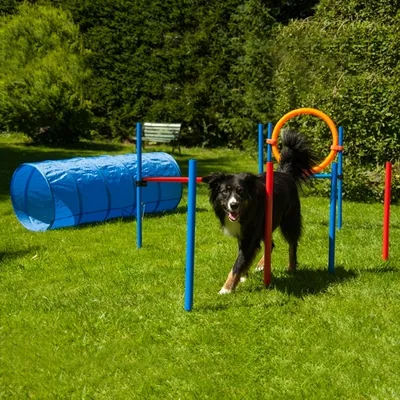 Produktbild von Dog Agility Set K2