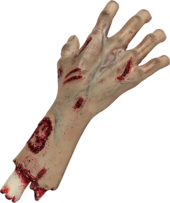 Produktbild von Abgetrennte Autopsie Hand mit Unterarm als Halloween Requisite