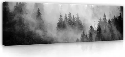 Produktbild von Leinwandbilder Wald Schwarz und Weiß 145x45 cm Modern Panorama XXL Canvas Bilder Leinwandbild Leinwand Bilder Schlafzimmer Wohnzimmer Wandbilder Kunstdruck Wand Bild auf Leinwand Aufhängefertig