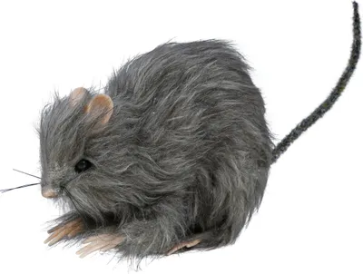 Immagine prodotto di Animale notturno Creatura Inquietante Accessorio di Halloween Decorazione Tenebre Ratto Scurrile Orrorifico Fantasia Mondo Animale Inquietante, Colore: Grigio
