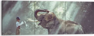 Produktbild von Bild auf Leinwand - Leinwandbild - Elefant Dschungel Stoßzahn - 150x50cm - Wand Bild - Wanddeko - Leinwanddruck - Bilder - Kunstdruck - Wanddekoration - Leinwand bilder - Wandkunst - CA150x50-3486