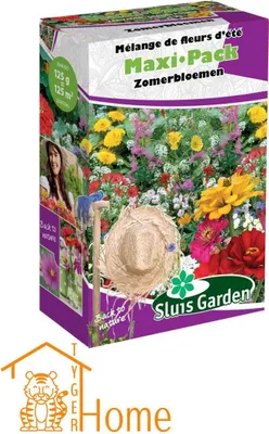 Produktbild von Summer Flowers Seed Mix - bunte langanhaltende Blüte für Garten, Rabatten & Töpfe - ideal für Bienen & Schmetterlinge - pflegeleicht & hochwertig