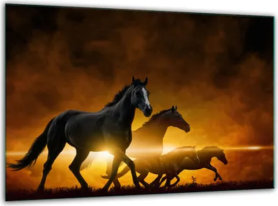 Obrázok produktu pre Sklenené dosky na varnú dosku doska na krájanie univerzálna 30x22cm kone