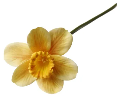 Produktbild von Künstliche Narzissen (38 cm) – Frühlings-Kunstblumenarrangement für Zuhause, Hochzeiten und Innendekoration