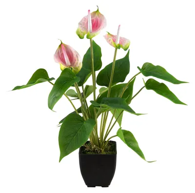 Imagen del producto de EUROPALMS Anthurie, planta artificial, blanco y rosa (82540348)