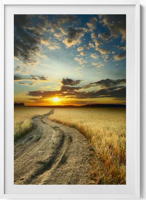 Produktbild von Feldweg und Sonnenuntergang– Wandbild mit Rahmen – Gerahmtes Bild  – Wanddekoration – 70x100 cm –  Weiß Rahmen