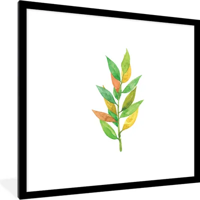 Produktbild von MuchoWow® MuchoWow® Gerahmtes Poster Aquarelle - Blätter - Pflanzen 40x40 cm - Poster mit zchwarzem Bilderrahmen - Poster - Plakat im Rahmen