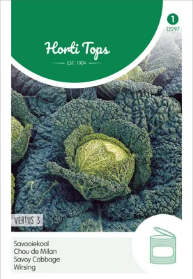 Produktbild von Wirsing Vertus 3 | Wirsingsamen von Hortitops