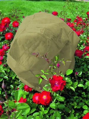 Produktbild von PROREGAL Winterschutz Frostschutz für Pflanzen, 30 g, Beige, 80x75cm, 3 Stück