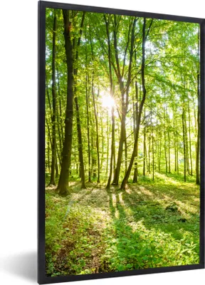 Produktbild von MuchoWow® Gerahmtes Poster Natur - Bäume - Wald - Grün - Sonnenlicht 60x90 cm - Poster mit Schwarzem Bilderrahmen Wandposter Rahmen Foto Bilder - Kunst