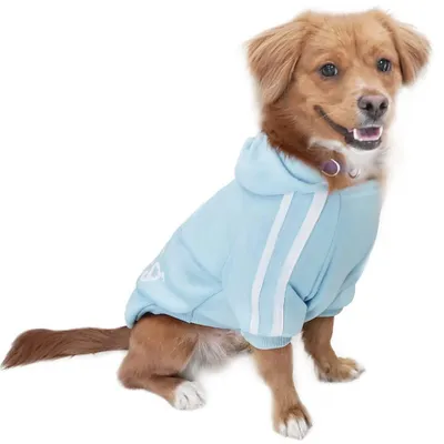 Produktbild von Hundepullover für Hunde, Größe XL, blau