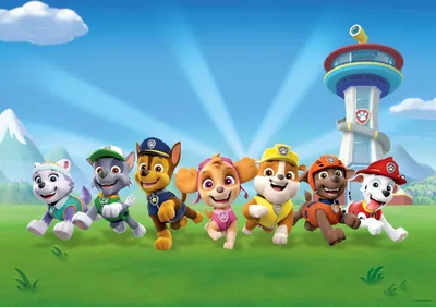 Produktbild von Sanders & Sanders Poster PAW Patrol Blau und Grün - 600674 - 160 x 110 cm