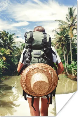 Produktbild von MuchoWow® Poster Dschungel - Reisen - Wasser 80x120 cm - Papierdruck