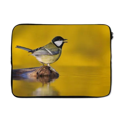 Produktbild von MuchoWow® Laptop Hülle 13 Zoll Kohlmeise - Vogel - Wasser Laptoptasche - Laptophülle - Sleeve - Rundumschutz
