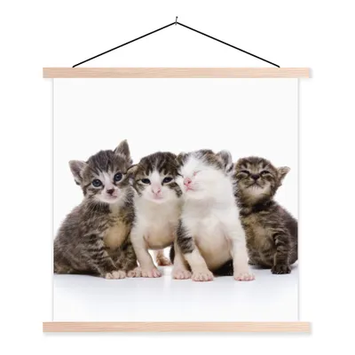 Produktbild von MuchoWow® Textilposter Katze - Haustiere - Fell - Porträt 60x60 cm mit holzfarbenen Rahmen - Wanddekoration