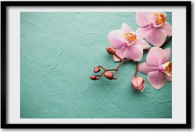 Produktbild von Bild 60x40 MDF-Rahmen, Wandkunst Orchidee