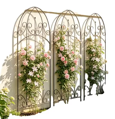 Imagen del producto de Estructura de soporte para plantas, diseño arqueado, construcción resistente a la intemperie, color