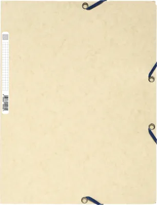 Produktbild von Exacompta 50x Sammelmappe +Gummizug 3 Klappen Rückenetikett A4 sort 55550E