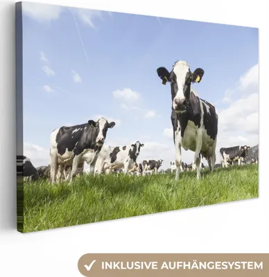 Produktbild von MuchoWow® - Leinwandbilder - Kühe - Gras - Tiere - Sonne - Bauernhof, Wandbild, Wanddeko Bilder Wohnzimmer, 30x20 cm