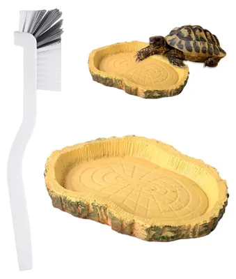 Produktbild von 2 Stück Wasserschale für Terrarien, Zubehör für Schildkröten und Reptilien