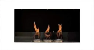 Produktbild von Ethanol und Gel Kamin Modell Roma Royal Weiss