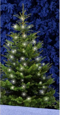 Obrázek produktu pro F-H-S Stromová opona 300LED 12x25LED 2,5m venkovní s časovačem