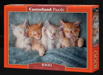 Immagine prodotto di Puzzle 1000 pezzi The Sweetest Kittens 105144