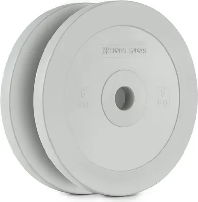Produktbild von CAPITAL SPORTS Methoder Technikscheibe Gewichtsplatten Gummi Paar 5 kg grau
