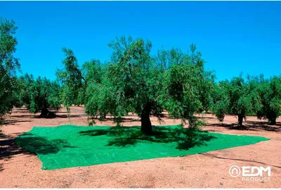 Immagine prodotto di Coperta per la raccolta della frutta 3x6m colore verde