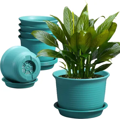 Produktbild von Set aus 6 Kunststoff-Blumentöpfen mit Abflusslöchern und Schalen 15 cm