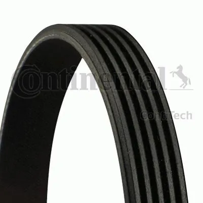 Produktbild von Continental ContiTech 5PK1325 Keilrippenriemen für RENAULT 25 Schrägheck 1325mm