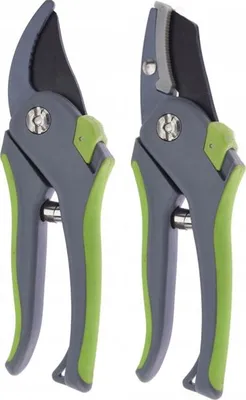 Image de Sécateurs 20cm 2pcs - 8719202839364