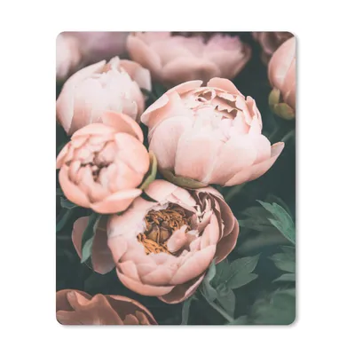 Produktbild von MuchoWow® Mauspad Mousepad Blumen - Rosa - Natur - Pflanzen 30x40 cm - Mousepads - Maus Mat - Pad - Mausunterlage - Mausmatten