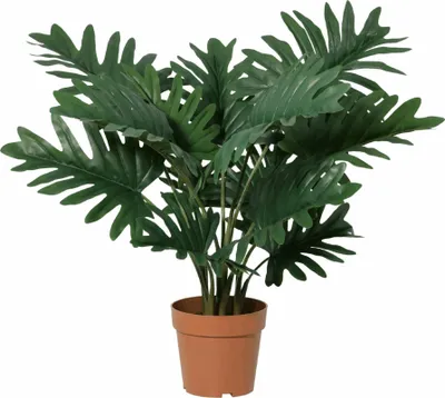 Produktbild von Philodendron Selloum Kunstpflanze 70cm Große Blätter Deko Pflanze Pflegefreie