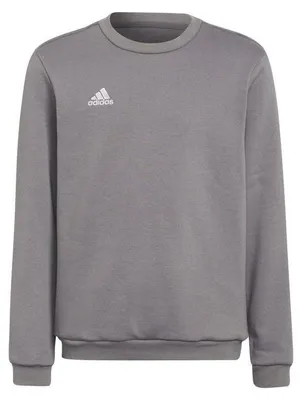 Produktbild von Adidas - "Entrada 22" Sweatshirt für Kinder MR1434 (146-152) (Grau)