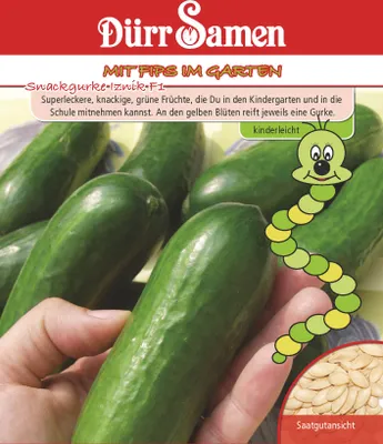 Produktbild von Dürr-Samen - Kindersorte Snackgurken Iznik F1 - Saatgut - 4230