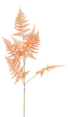 Produktbild von Countryfield Kunstblume Asparagus orange Dekoration 85cm Kunstpflanze