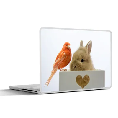 Produktbild von MuchoWow® Laptop Aufkleber Sticker Cover Tiere - Kaninchen - Vogel 31x22.5 cm - Laptop-Deko